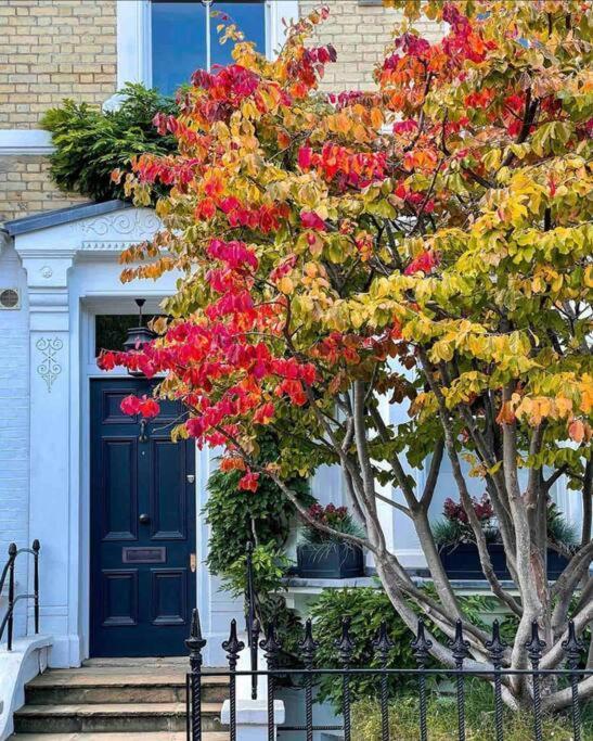 Chelsea Posh Apartment London Exterior photo